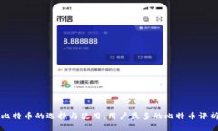 比特币的选择与使用：用户最多的比特币评析